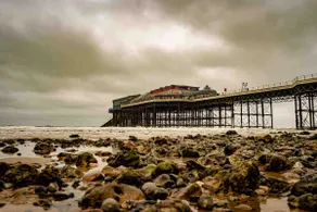 The Beach Hut - Image 4