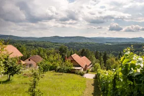 Vineyard Cottage Pod Piramido - Image 5