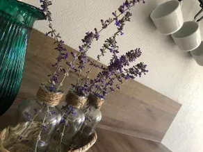 To the rhythm of Plume and Louna - Image 3