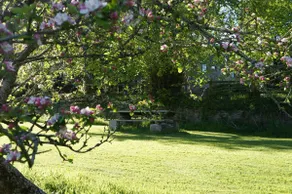 The Music Room - Image 5