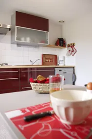 Between the Poitevin marsh and Puy-du-Fou - Image 5