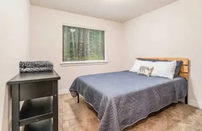 The Evergreen Tangerine w/ hot tub - Image 5