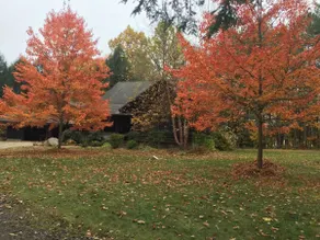 Wolf Run Cabin - Image 4