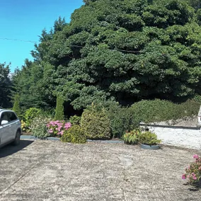 Kingscourt entire farmhouse , Loughanleagh - Image 2