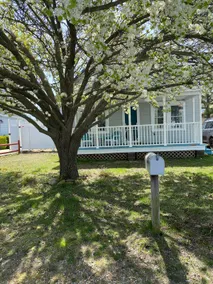 Our Little Cottage - Image 3