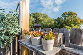 Penthouse @ PalmerPark RoofDeck Fishtown - Image 3