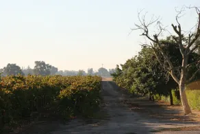 ”Garden Faire Cottage” Visit Lodi Wineries - Image 3