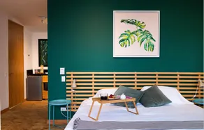 Luxury Cabin Jungle - San Francisco - Image 5