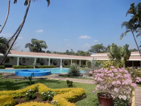 Palo Blanco Bungalow - Club Los Jerónimos - Image 2