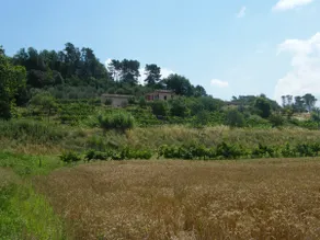 Il Montagnolo – Al Vecchio Fico - Image 5
