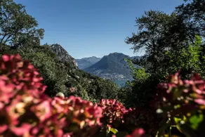 Casa Calina - Image 4
