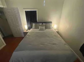 Beautiful New 1 BR Apt with front yard. - Image 4