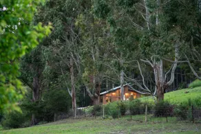 Bruny Island Haven - The Studio - Image 4
