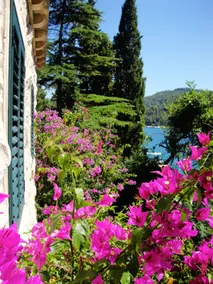 Villa Clematis, Vela Luka - Image 4
