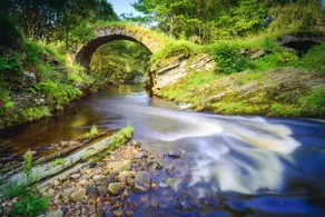 Charming Waterside Cottage in the heart of Speyside - Image 2