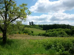 House (GITE) IN AN OASIS OF PEACE - Image 3