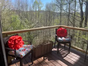 Cozy FALL Hideaway *Hot tub * Ecusta Trail - Image 3