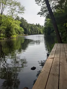 Riverside Gravenhurst cottage. Waterfront w/ sauna - Image 5