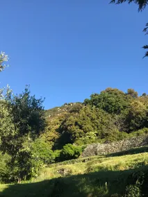 HOUSE IN THE HEART OF CASTAGNICCIA - Image 4