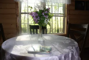 Forever spring cabin - Image 4