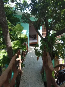 Hostal El Cabildo (Entire House) - Image 2