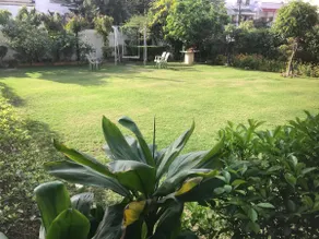 Charm Grove | 4BHK Villa Flr I Garden| City centre - Image 5