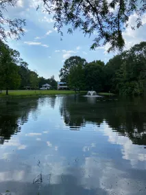 The Blue Heron Guest House-6 acres on the bayou. - Image 2