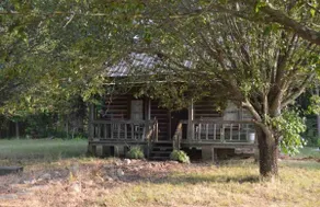 Cozy Cabin minutes from Ocoee and Hiwassee Rivers - Image 4