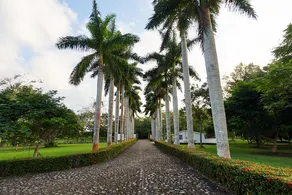 Spectacular riverfront estate - Image 4