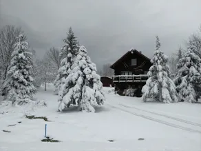Indianhead Log Home by Ski Resort - Image 3