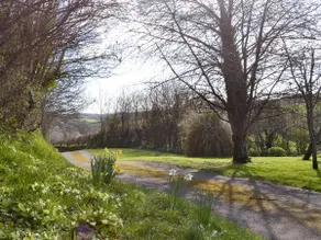 Gold Award winning-Swift Cottage, Totnes, Devon - Image 3