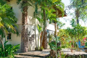 CASA LINDA VISTA / WALK To BEACH & SURFING / PEACEFUL & PRIVATE / SLEEPS 2 to 8 - Image 4