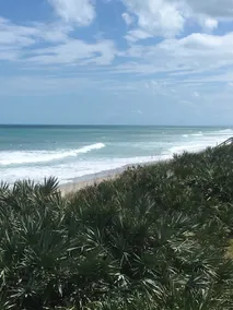Beachin Breeze - Image 2