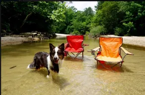 Thunder Ridge —Entire House pet-friendly near NOLA - Image 3