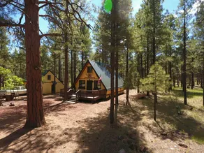 Cozy Mountain Cabin AZ - Image 2