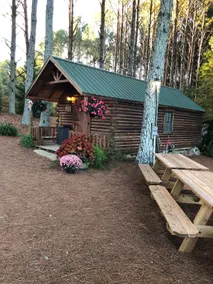 Cabin in the pines - Image 4