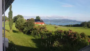 Steina - Image 5