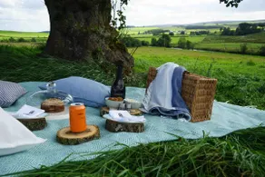 Elishaw Farm Holiday Cottages - Image 4