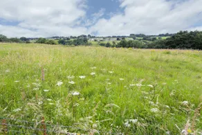 Storthes Hall Prk > 3min | SmartTV | Pets | Garden - Image 3
