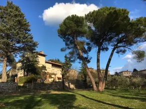 Villa in the Umbrian Countryside Todi Orvieto - Image 2