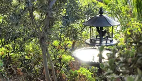 Capon Cottage - Image 5
