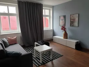 Accommodation near the lower area of Vítkovice - Image 2