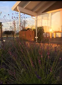 Peaceful guest house with pool - Image 2