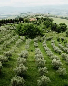 Iperbole Landhaus, zwischen Pienza und Montepulciano - Image 2