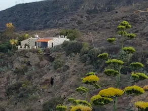 Finca Margarita, Oasis with Sea View - Image 4