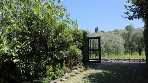 Garden in the olive trees -2 citybikes-bike storage - Image 4
