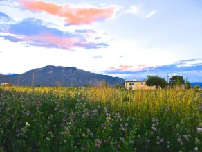 Quiet Retreat/ Mtn Views/ Top 5%!/ Family Friendly - Image 4