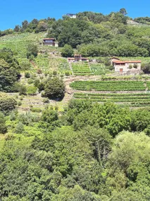 Apedeceo Belesar Villa, Ribeira Sacra, Galicia - Image 3