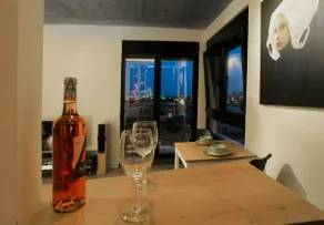Beautiful view of bridges, Savamala Apartment 14a - Image 3