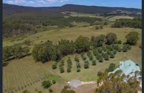 Amazing Homestead -100 acre Winery and Olive Grove - Image 5
